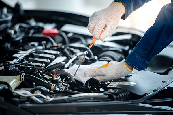 How to Check Engine Oil Level and Other Important Fluids at Home